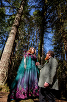 Woodland wedding at The Hermitage