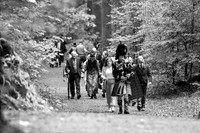 Woodland wedding at The Hermitage