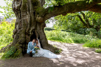 Summer wedding at Ossian's Hall, The Hermitage, Perthshire
