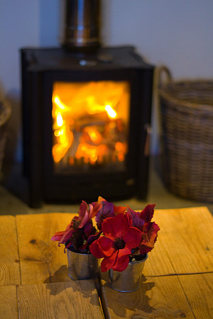 Closeup of a flower and log fire in the campers kitchen at Loch Tay Highland Lodges, Loch Tay, Perthshire, Scotland.