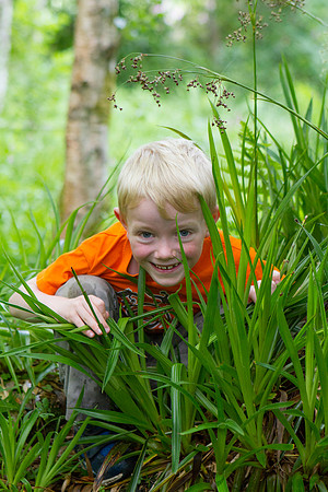 Portrait of a young boy in a woodland in Perthshire, Scotland. An example of my family photography sessions.