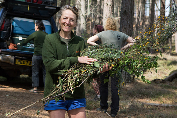 woman carrying firewood during a wild woman bushcraft retreat near Findhorn in Scotland.