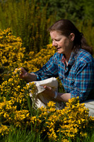 Charlotte Flower, master chocolatier of Charlotte Flower Chocolates, foraging for wild ingredients to craft her signature Scottish chocolates. Portrait photography in Perthshire, Scotland.