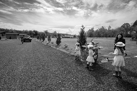 Wedding at Silverwood Lodges - wedding photography gallery