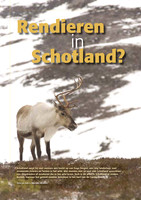 Rendieren in Schotland?